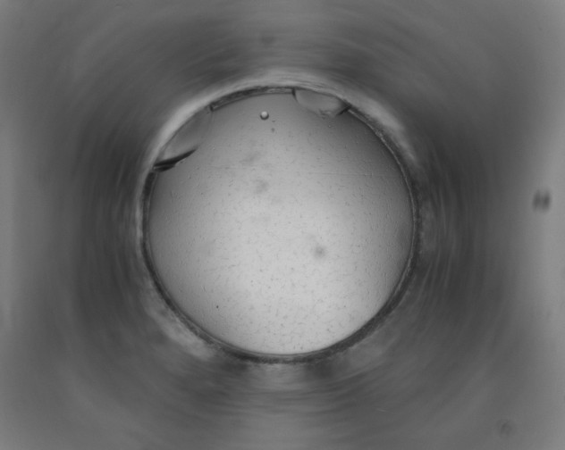 X0000091861280200709261247