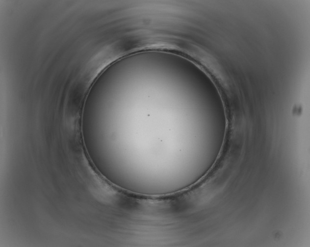 X0000091861281200709261247