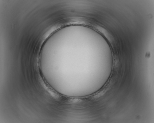 X0000091861282200709261247