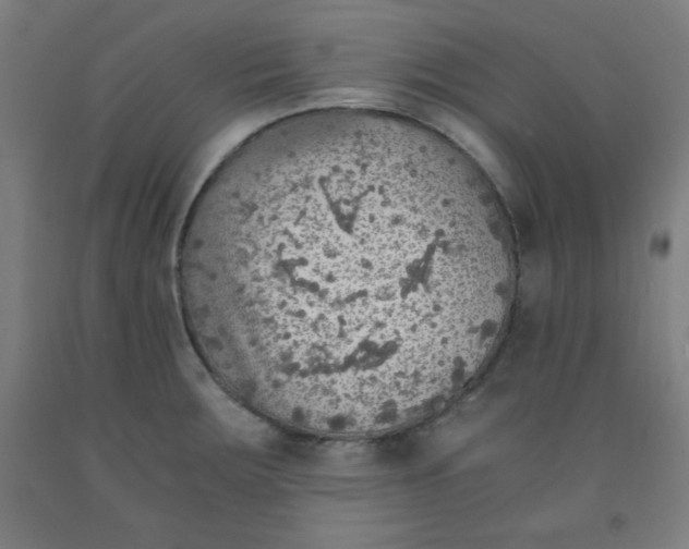 X0000091861283200709261247