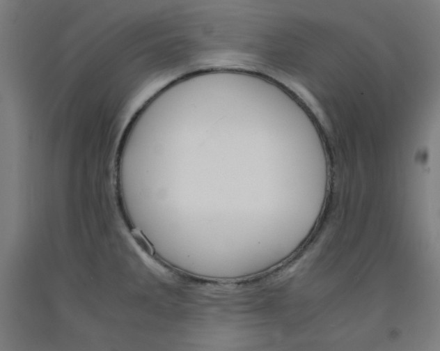 X0000091861285200709261247