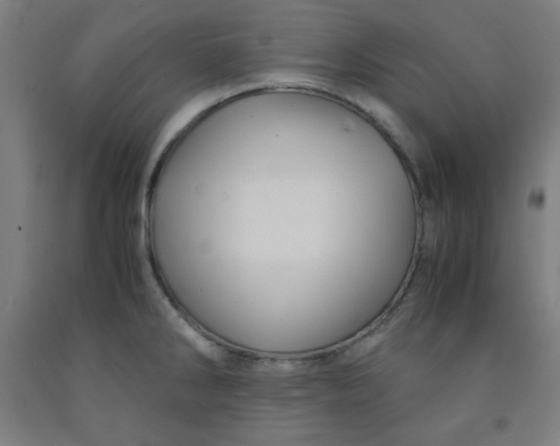 X0000091861286200709261247