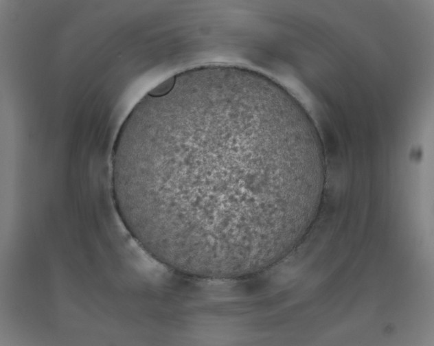 X0000091861287200709261247