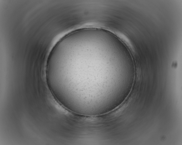 X0000091861288200709261247