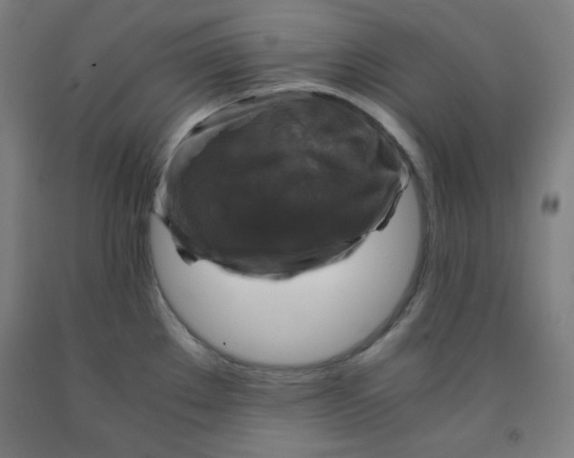 X0000091861289200709261247