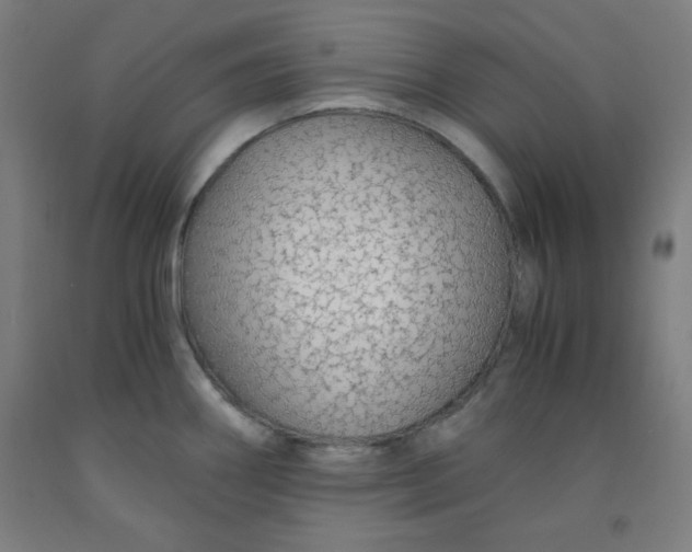 X0000091861290200709261247