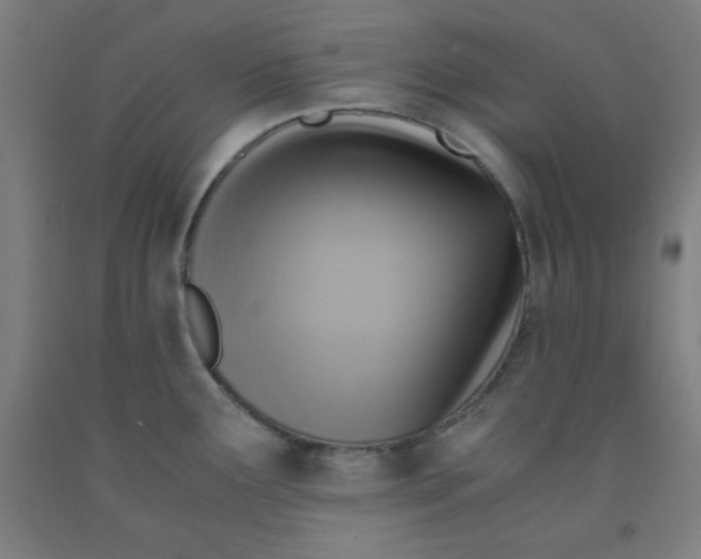 X0000091861291200709261247