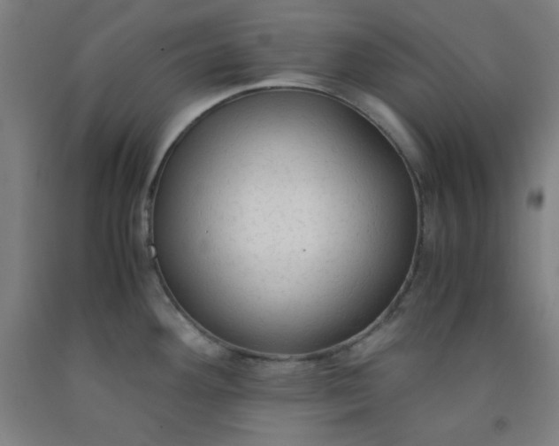 X0000091861292200709261247