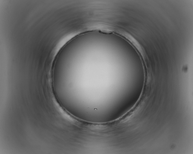 X0000091861293200709261247