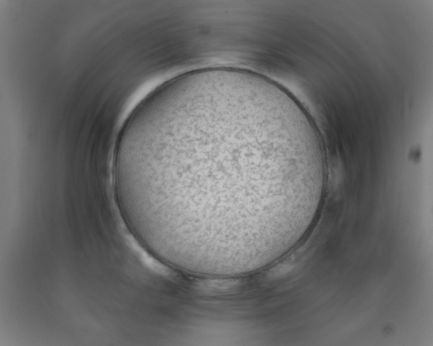 X0000091861294200709261247