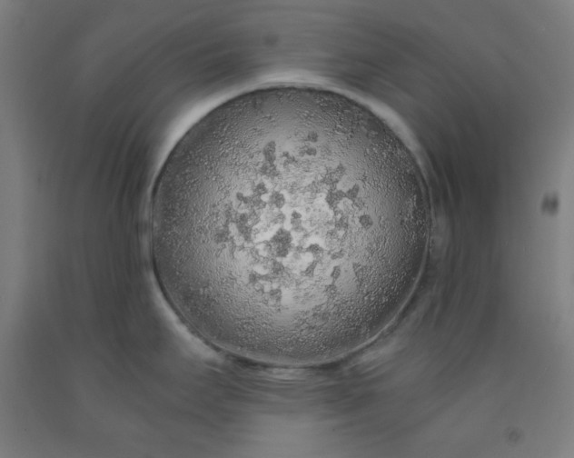 X0000091861295200709261247