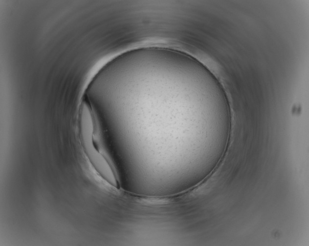 X0000091861296200709261247