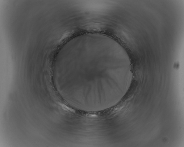 X0000091861297200709261246