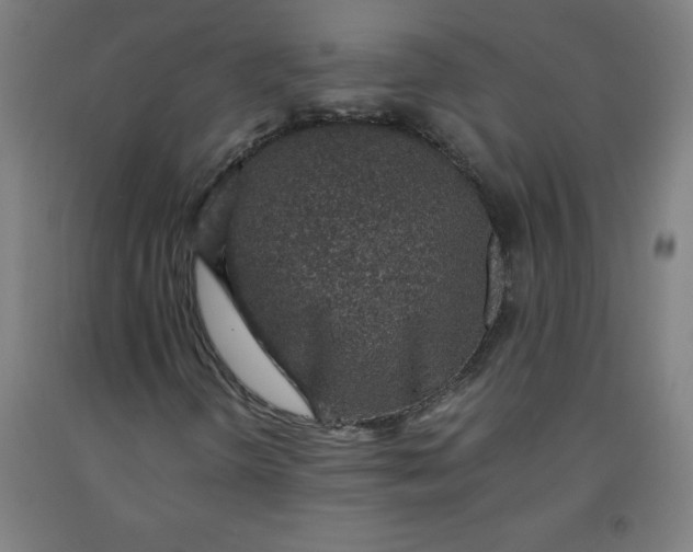 X0000091861298200709261246