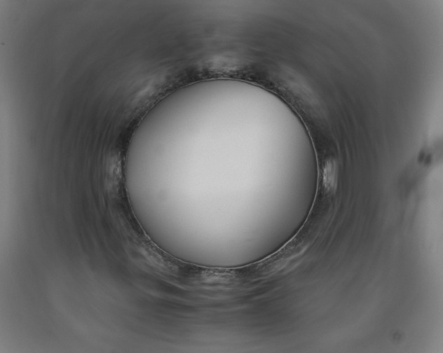 X0000091861299200709261246