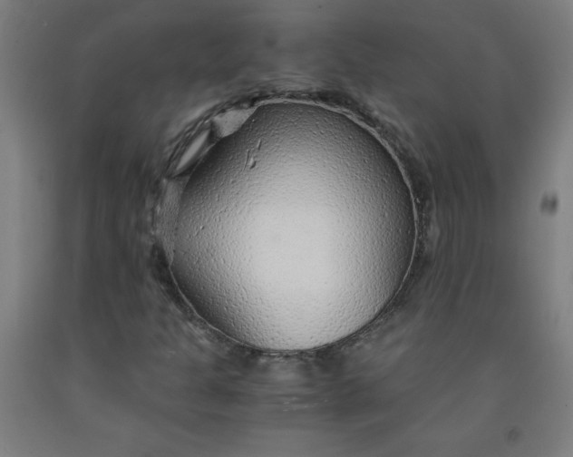 X0000091861301200709261246