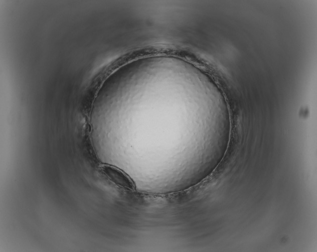 X0000091861302200709261246