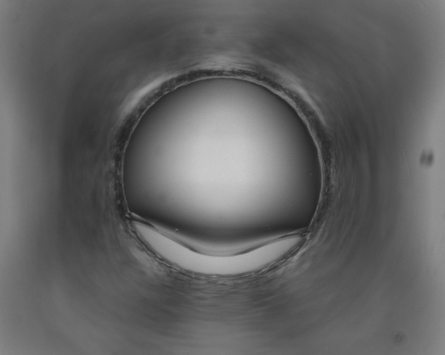 X0000091861304200709261246