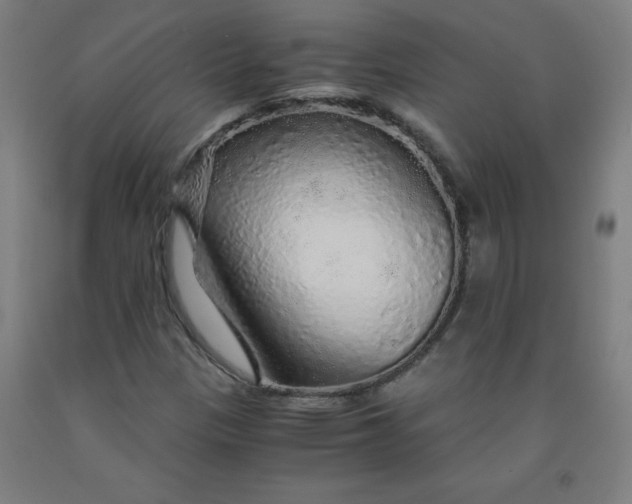 X0000091861305200709261246