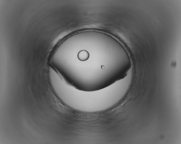 X0000091861308200709261246