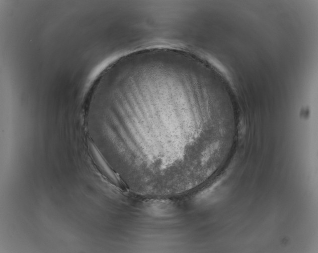 X0000091861310200709261246