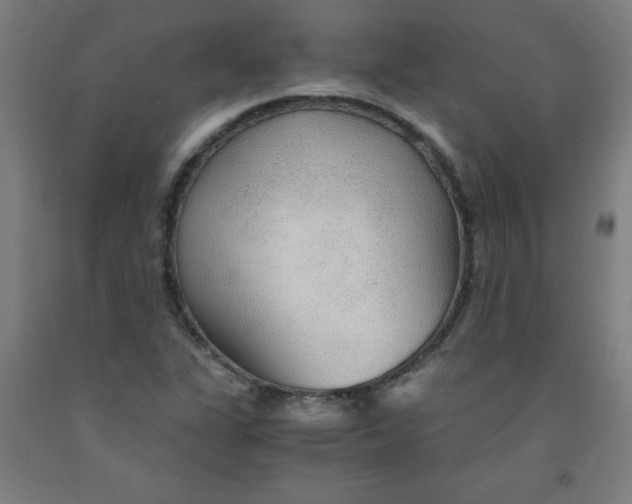 X0000091861311200709261246