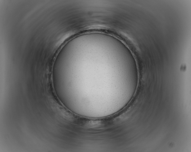 X0000091861313200709261246