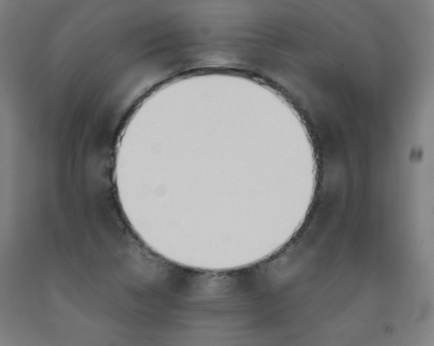 X0000091861314200709261246