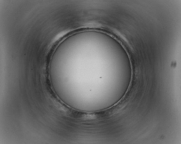 X0000091861315200709261246