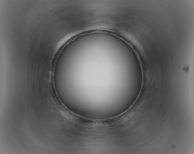 X0000091861316200709261246