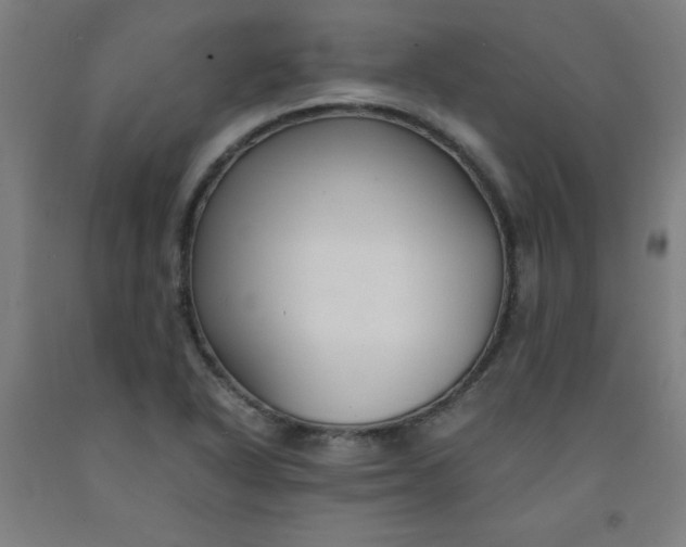 X0000091861318200709261246