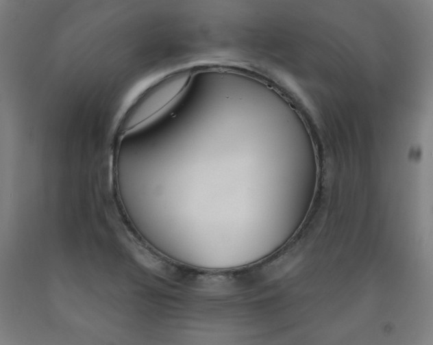 X0000091861320200709261246