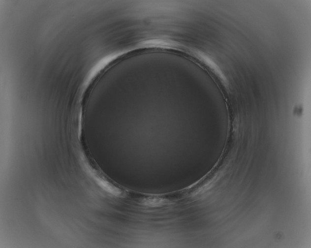 X0000091861323200709261246