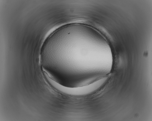 X0000091861324200709261246