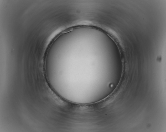 X0000091861326200709261246