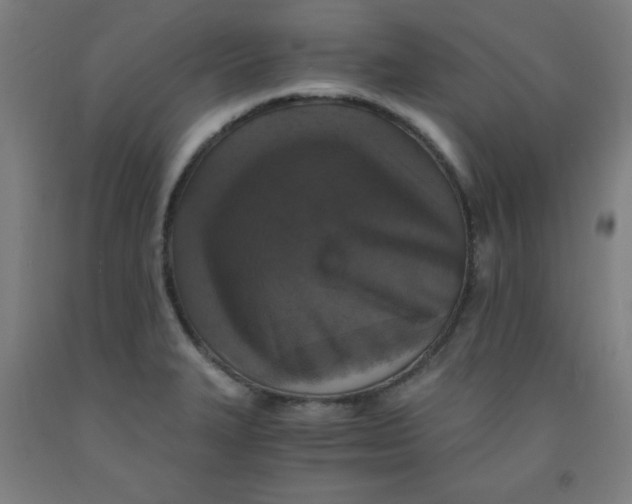 X0000091861327200709261246