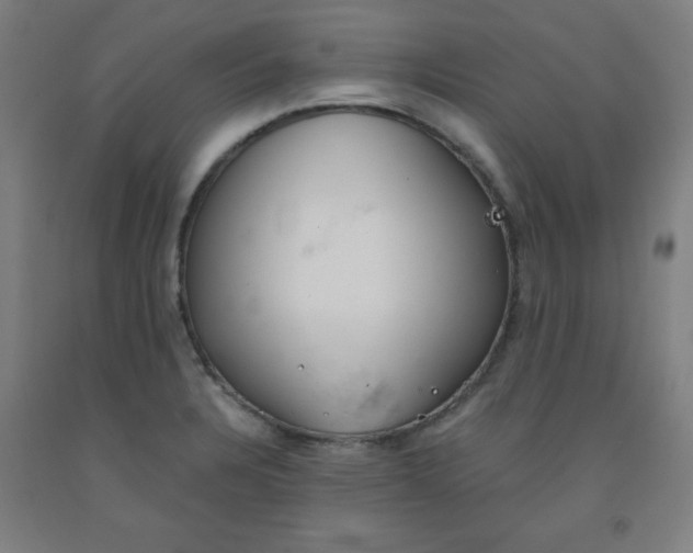 X0000091861328200709261246