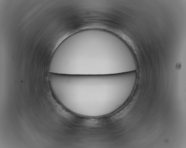 X0000091861329200709261246