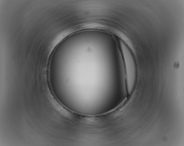 X0000091861330200709261246