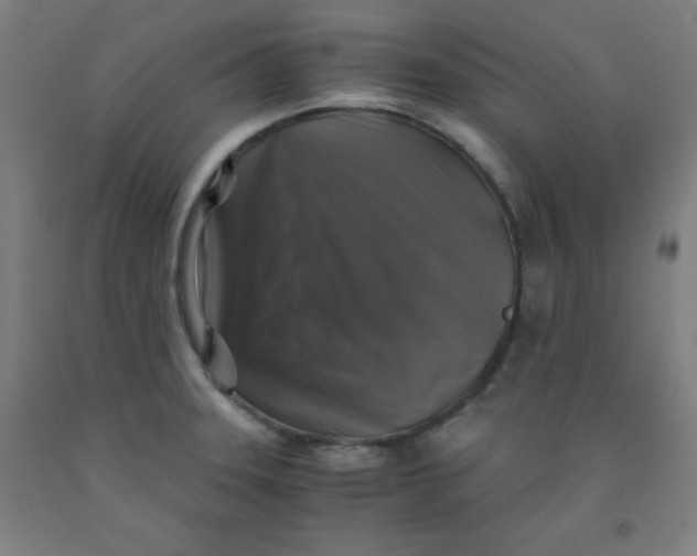 X0000091861331200709261246