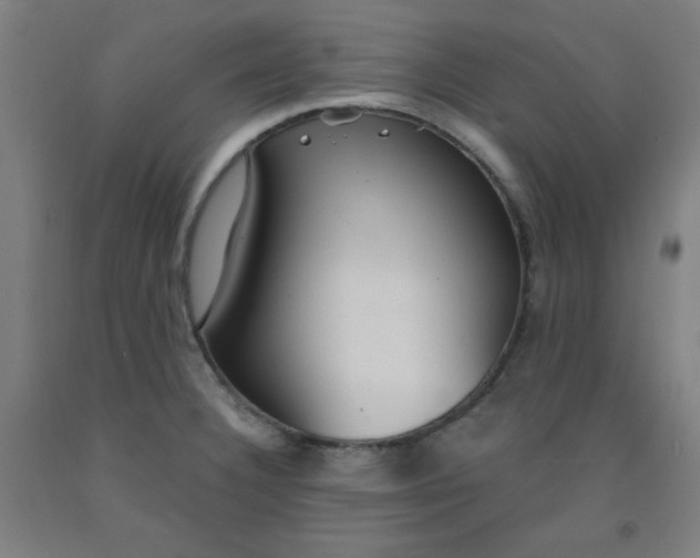 X0000091861332200709261246