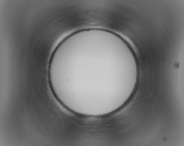 X0000091861333200709261246