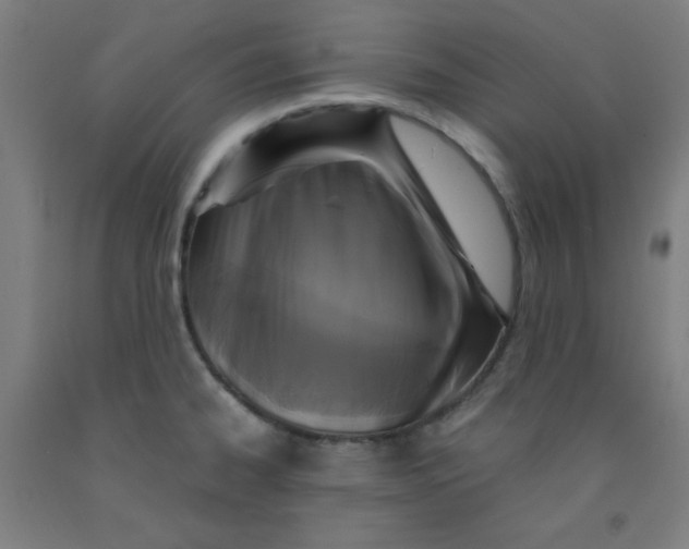 X0000091861334200709261246