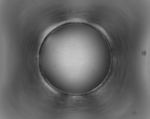 X0000091861335200709261246