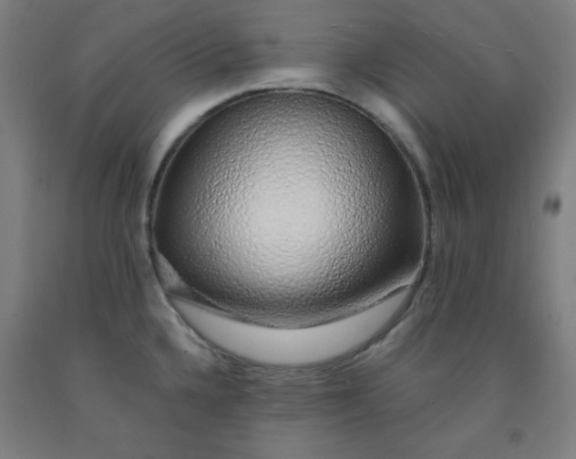 X0000091861336200709261246