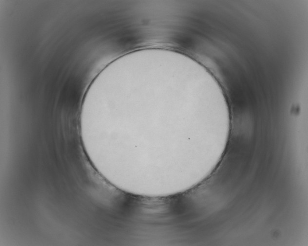 X0000091861338200709261246