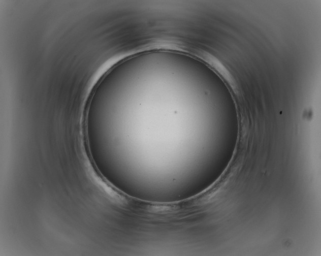 X0000091861339200709261246