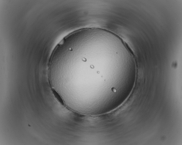 X0000091861340200709261246