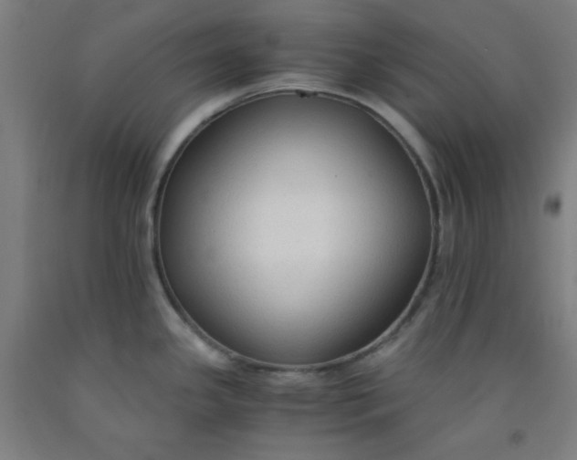 X0000091861341200709261247