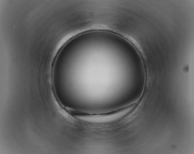 X0000091861342200709261247